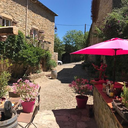 Bed and Breakfast Domaine d'Alcapiès à Saint-Jean-dʼAlcapiès Extérieur photo