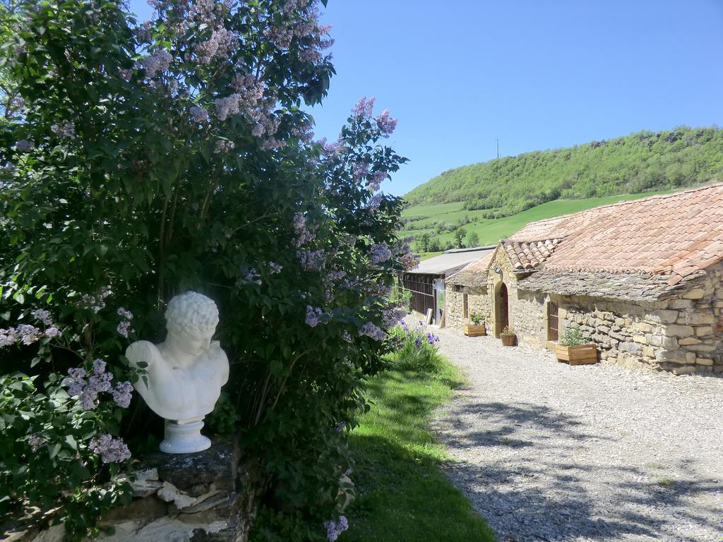 Bed and Breakfast Domaine d'Alcapiès à Saint-Jean-dʼAlcapiès Extérieur photo